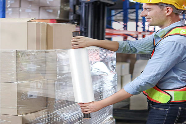 Global Sales, Logistics, and Platform Experience (2)