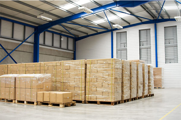 Global Sales, Logistics, and Platform Experience (3)