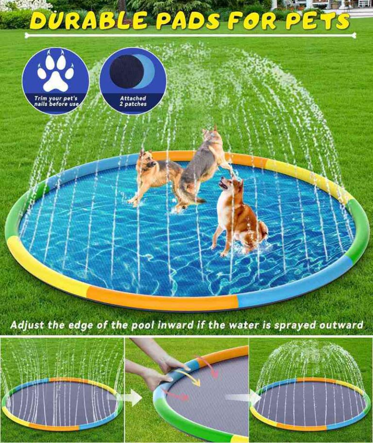 EPN pet Splash Pad5