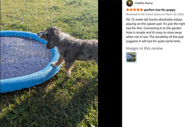 EPN 17-3 EPN What Families Say About This Splash Pad