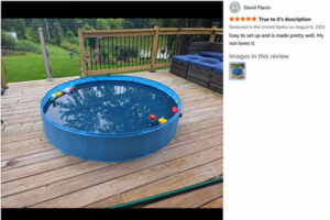 EPN 15 What Customers Check Before Choosing a Dog Pool (1)