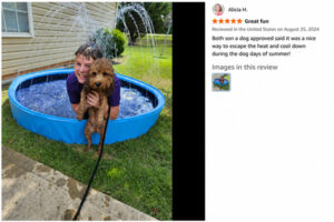 EPN 15 What Customers Check Before Choosing a Dog Pool (2)